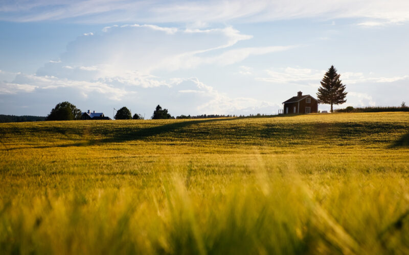 How to Buy Farmland, Even If You Think You Can’t Image